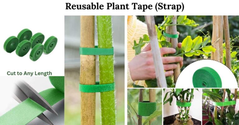 reusable Plant tape for support plant